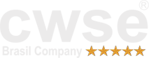 Logo CWSE Brasil Company